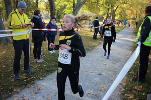 Stadtparklauf in Sondershausen (2)