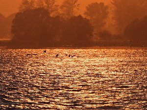 Abendstimmung am Stausee Kelbra