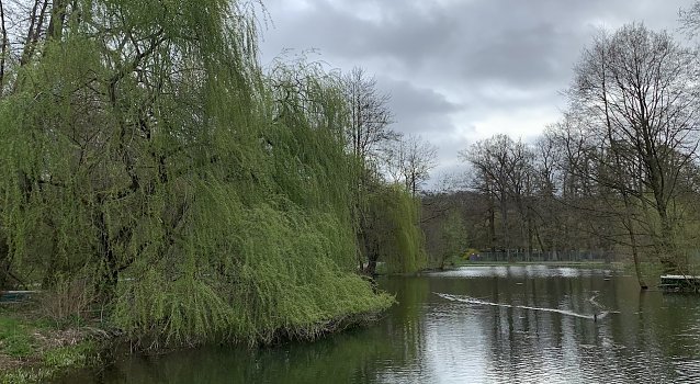 Wacker in Auerbach 