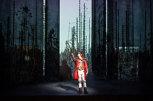 Die Zauberfl&ouml;te
