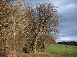 Brockenfahrt