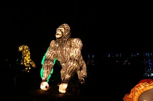 Lichterwelten