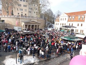 Rosenmontagsumzug Sondershausen