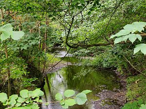 Vom Mägdesprung zum Waldgagsthof