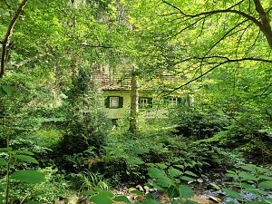 Vom Mägdesprung zum Waldgagsthof