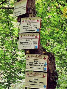 Vom Mägdesprung zum Waldgagsthof
