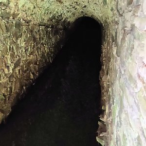 Vom Mägdesprung zum Waldgagsthof