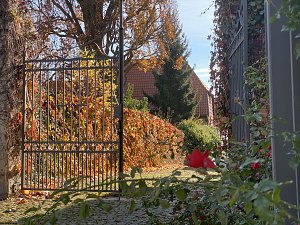 Herbstimpressionen