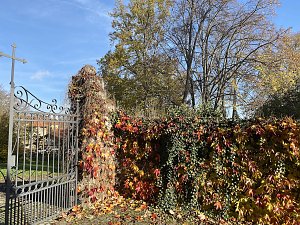 Herbstimpressionen