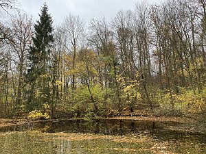 Herbstimpressionen