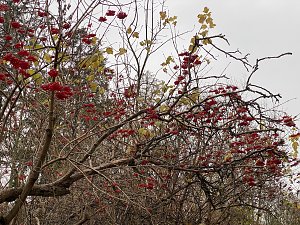 Herbstimpressionen
