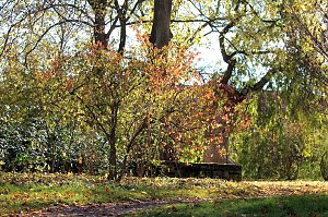 Herbstimpressionen