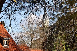 Herbstimpressionen