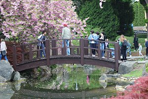 Kodomo No Hi, das Kinderfest, heute Nachmittag im Japanischen Garten