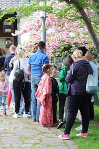 Kodomo No Hi, das Kinderfest, heute Nachmittag im Japanischen Garten