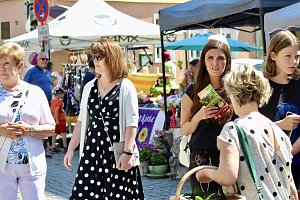 Innenstadtfest in Bad Langensalza