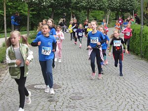Impressionen vom 9. Drei-T&uuml;rme-Lauf