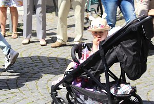Impressionen vom Festumzug 