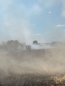 Feldbrand Bein Obermehler