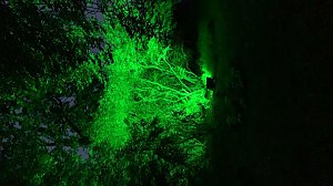 Extralange Sommerlaune gestern Abend in Bad Langensalza