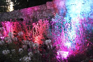 Extralange Sommerlaune gestern Abend in Bad Langensalza