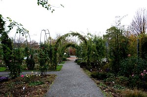 Saisonabschluss im Rosarium