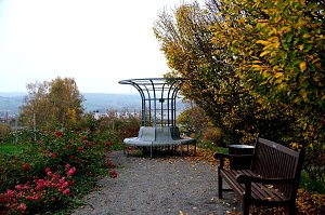 Saisonabschluss im Rosarium
