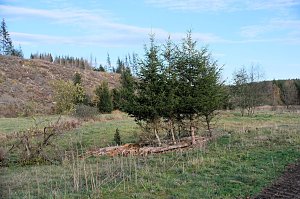 Peter Blei unterwegs im Harz