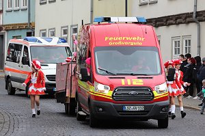 Fr&ouml;hlichbunter Karnevalsumzug in und um Bad Langensalza