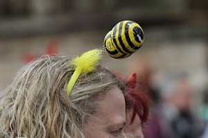 Fr&ouml;hlichbunter Karnevalsumzug in und um Bad Langensalza