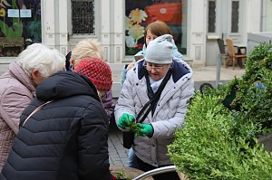 Fr&uuml;hjahrsputz am Bad Langensalzaer Rathaus