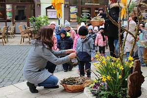 Fr&uuml;hjahrsputz am Bad Langensalzaer Rathaus