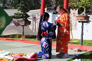 Impressionen vom Hanami 2023 in Bad Langensalza