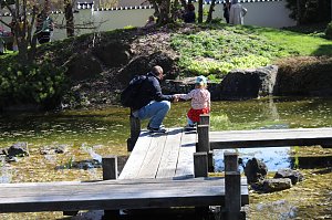 Impressionen vom Hanami 2023 in Bad Langensalza