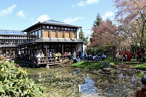 Impressionen vom Hanami 2023 in Bad Langensalza