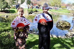 Impressionen vom Hanami 2023 in Bad Langensalza