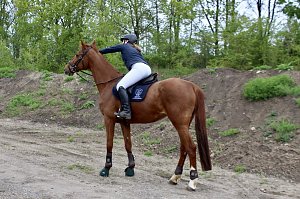 Vorbereitungen in Bad Tennstedt zum 20. Novalisritt auf den Spuren von Novalis