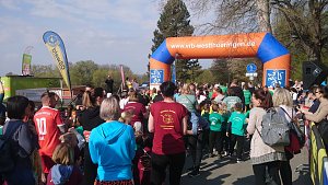 Impressionen vom 19. R&ouml;blinglauf