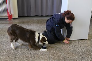 Besuch bei der Nordh&auml;user Hundestaffel
