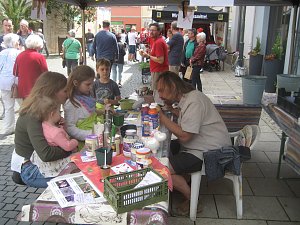 Gr&uuml;nes Innenstadtfest in Bad Langensalza