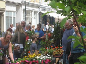Gr&uuml;nes Innenstadtfest in Bad Langensalza