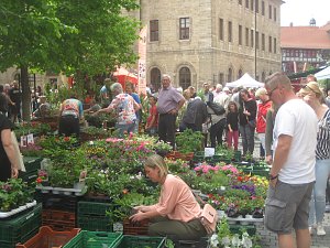 Gr&uuml;nes Innenstadtfest in Bad Langensalza
