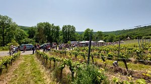 Unterwegs auf der Saale-Weinmeile