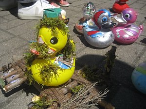 Entenrennen in Bad Langensalza
