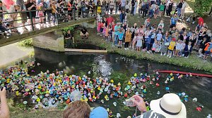 Ein begeisterndes Entenrennen verzauberte Bad Langensalza