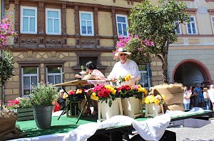 210. Brunnenfest in Bad Langensalza 