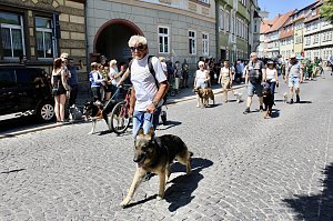 210. Brunnenfest in Bad Langensalza 