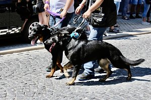 210. Brunnenfest in Bad Langensalza 