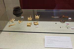 Ausstellungser&ouml;ffnung im Stadtmuseum