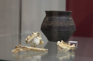 Ausstellungser&ouml;ffnung im Stadtmuseum
